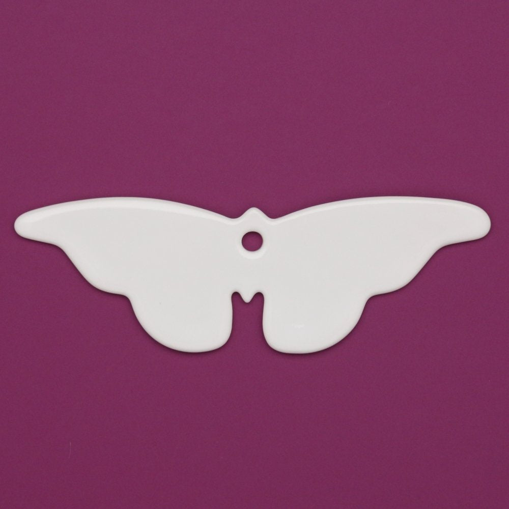 0170 - Papillon Ithomiidae