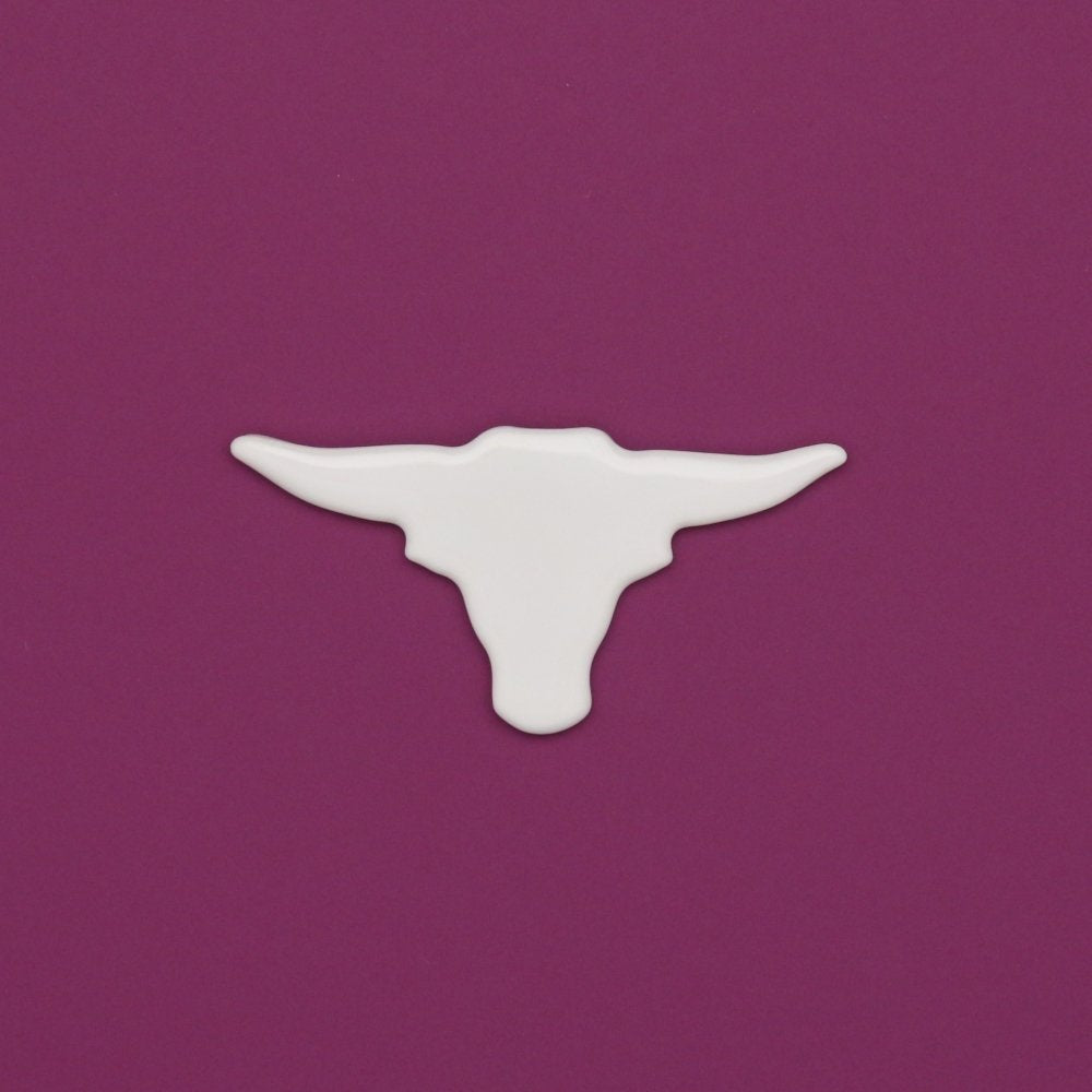 0245 - Texas Longhorn
