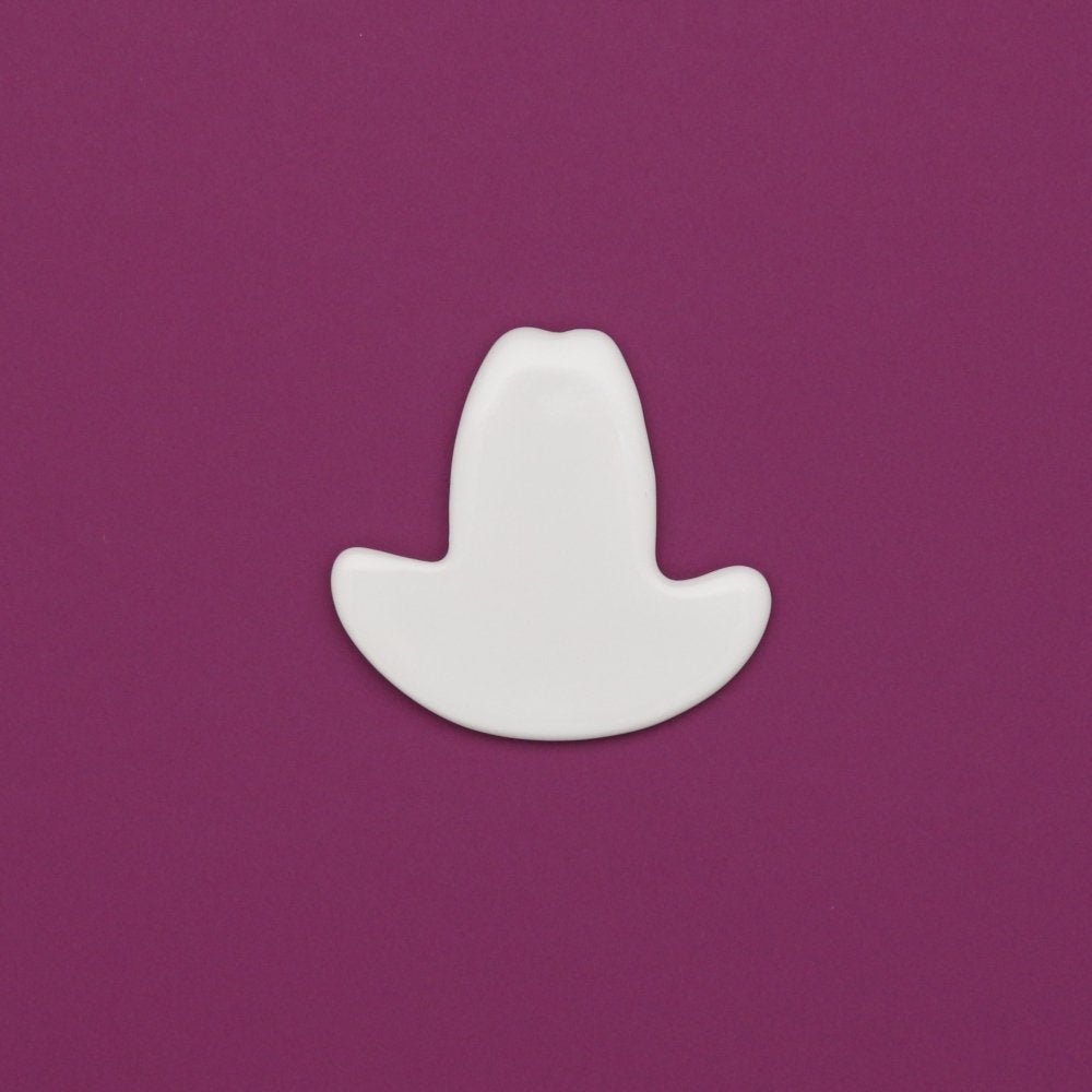 0244 - Texas hat