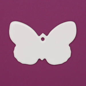 0154 - Papillon Nymphalidae