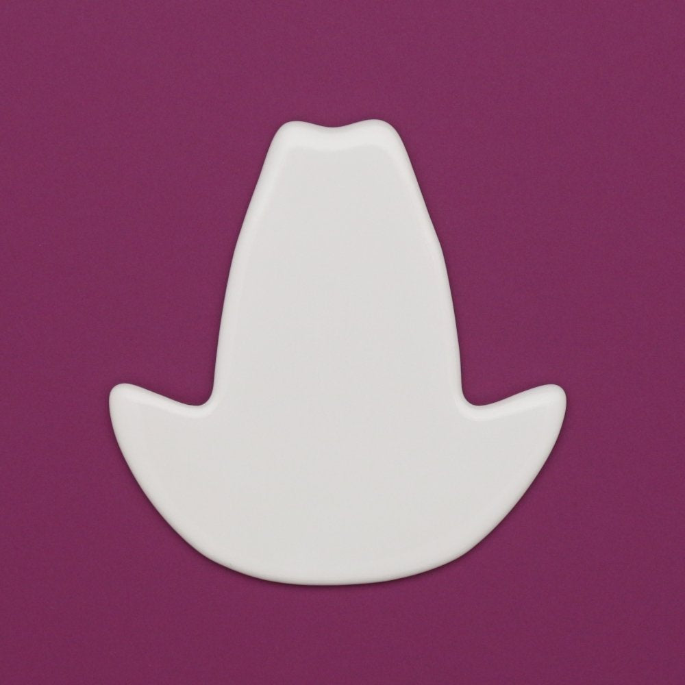 0197 - Texas hat